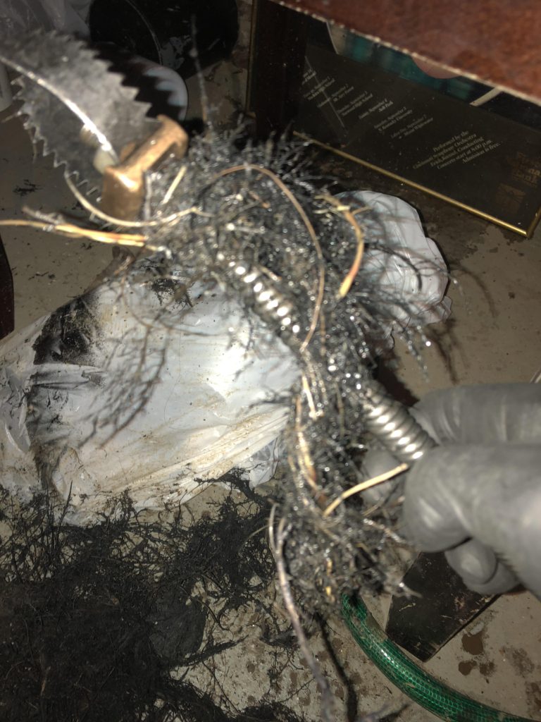 sewer roots line plumber drain shows machine remove looks then fix uses
