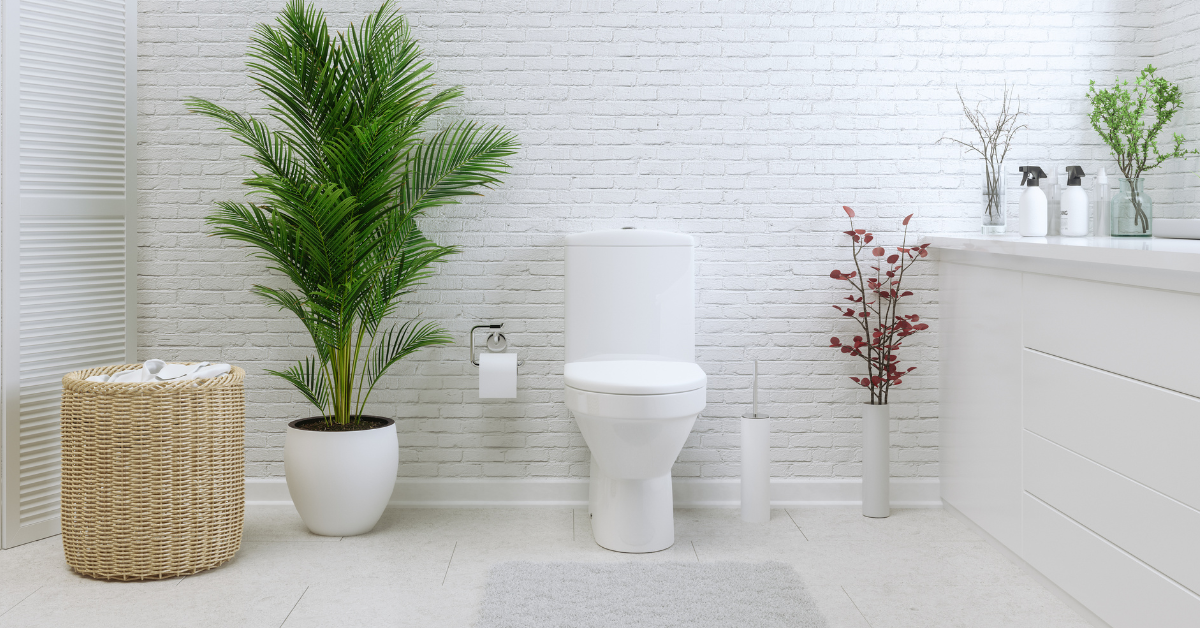 Why Are Public Toilets Oval and Residential Toilets Round? - The